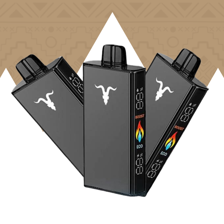 Review detalhada sobre o V250 - Ignite inovou mais uma vez?